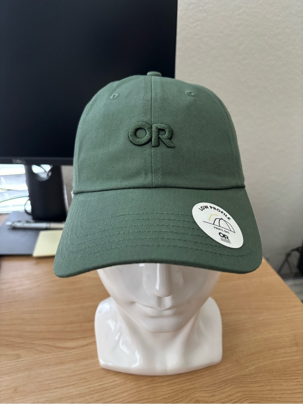 Outdoor Research Strapback Ballcap (NWT)